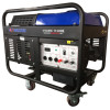 Walton Generator DYNAMIC 11500E