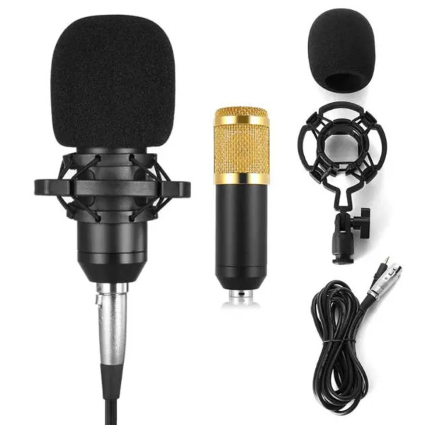 BM 800 Condenser Microphone