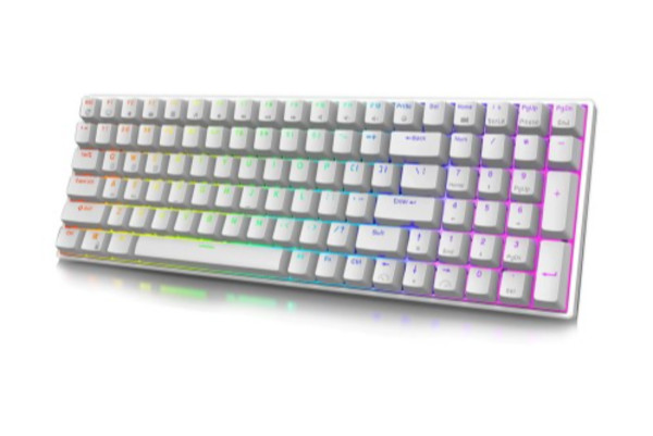 RK ROYAL KLUDGE RK100 Wireless Mechanical Keyboard (Brown Switch)