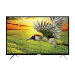 MyOne 24 Inch Best Riyan LED TV - Black