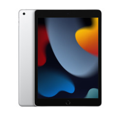 Apple iPad 10.2 2021 (9th Generation) 256GB Wi-F