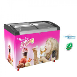 Walton Ice Cream Freezer 270 Ltr - WCG-2G0-CGXX-XX