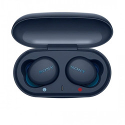 Sony WF-XB700 True Wireless Earbuds