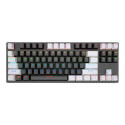 LEAVEN K550 TKL 87 Keys Wired Mechanical KEYBOARD (Hot-Swappable)