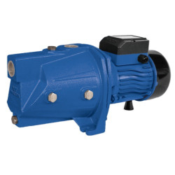 Walton Irrigation Water Pump-WPSJm3CL-1.5