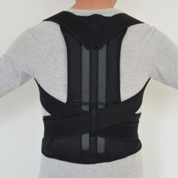 Back Support Belt