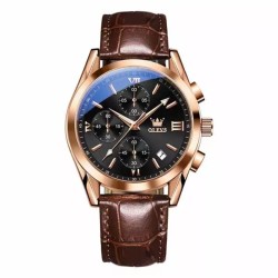 Olevs 2872 Fashionable Analog leather Men's Watch