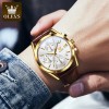 Olevs 2872 Fashionable Analog leather Men's Watch