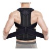 Back Support Belt