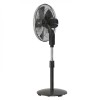 Walton Pedestal Fan 18"  WPF18C-PBC