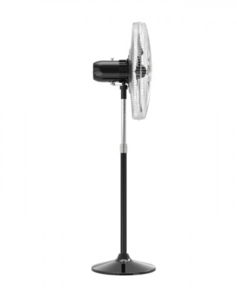 Walton  WPF24S-RSC Pedestal Fan (600mm)