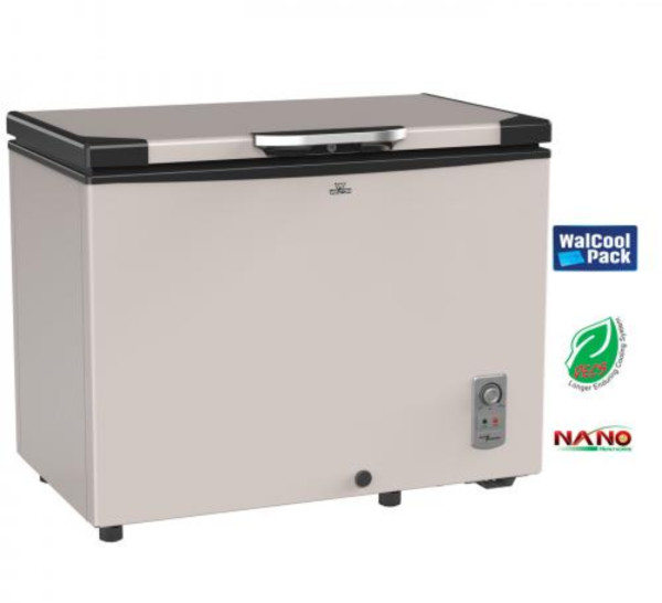 Walton 255 Ltr Freezer WCG-2E5-EHLC-XX