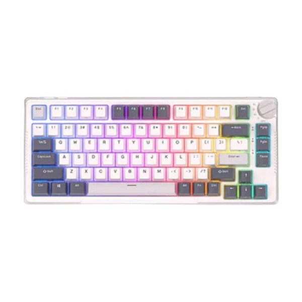 ROYAL KLUDGE RK H81 TRI MODE RGB HOT SWAP MECHANICAL KEYBOARD (BLUE SWITCH)