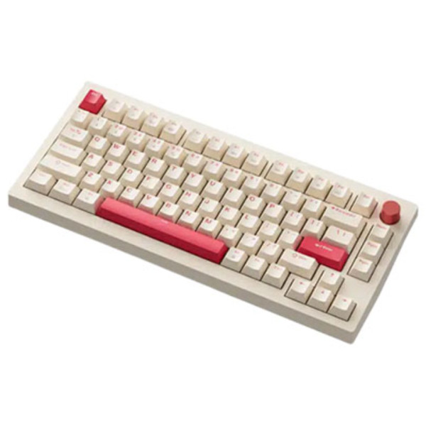 JAMESDONKEY RS2 ROSY RGB MECHANICAL KEYBOARD(GATERON G PRO 2.0 SILVER SWITCH)