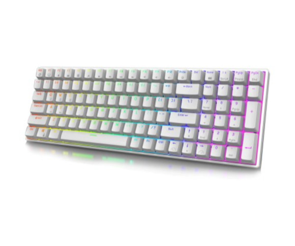 RK ROYAL KLUDGE RK100 Wireless Mechanical Keyboard (Blue Switch)