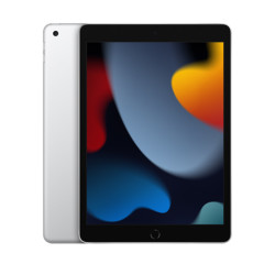 Apple iPad 10.2 2021 (9th Generation) 256GB Wi-Fi + Cellular