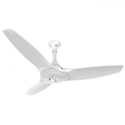 WALTON CEILING Gloria Fan