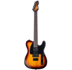 ESP LTD TE-200 Electric Guitar