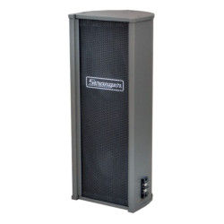 Stranger CM15T Column Speaker System