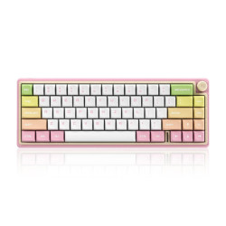DUSTSILVER D66 WIRELESS MECHANICAL KEYBOARD GATERON SWITCH