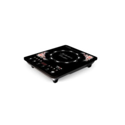 VISION VSN-1206-ECO Induction Cooker